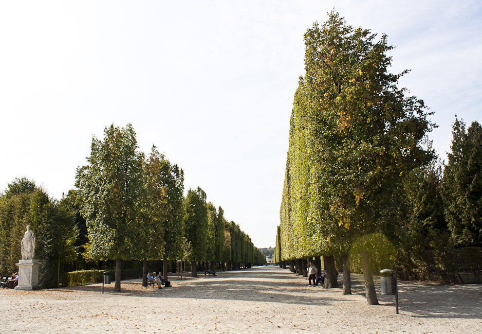 Extremely pruned trees in the enormous palace gardens.