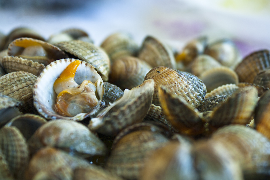 This is my only picture of the food. We were much too busy eating, but these little shells had great colours.